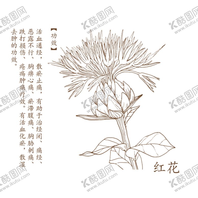 编号：96381009211342584167【酷图网】源文件下载-红花矢量