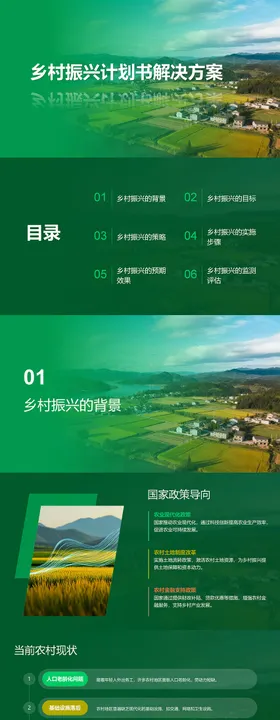 乡村振兴计划书解决方案PPT