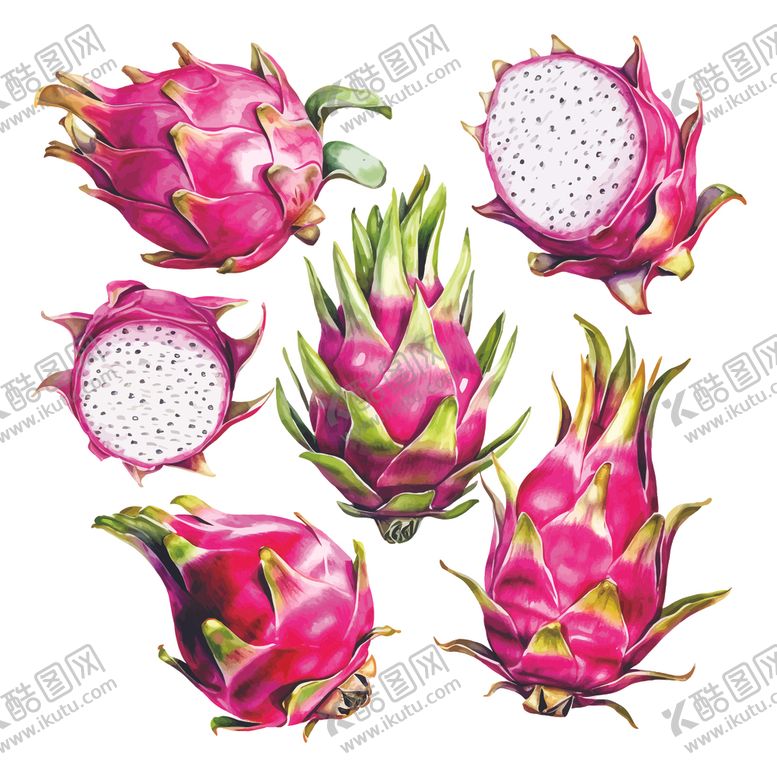 编号：50158812111738476763【酷图网】源文件下载-水彩无花果插画