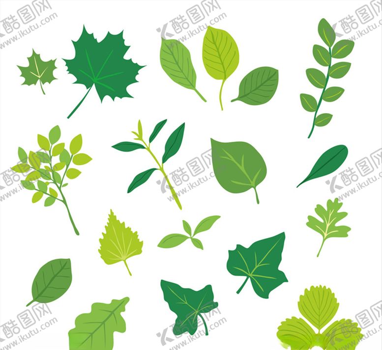 编号：71828209250815105562【酷图网】源文件下载-绿色手绘树叶