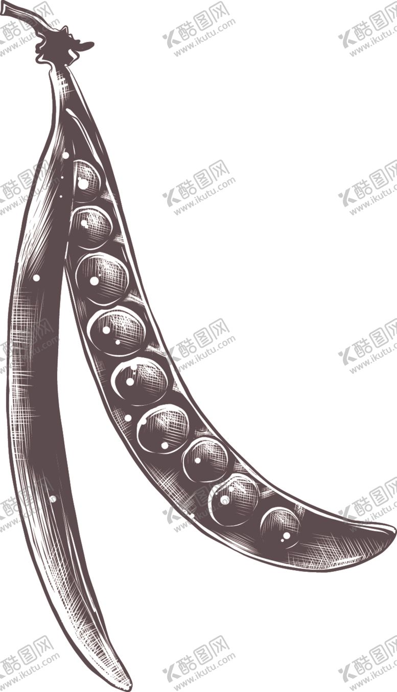 编号：94017909161246164957【酷图网】源文件下载-手绘蔬菜
