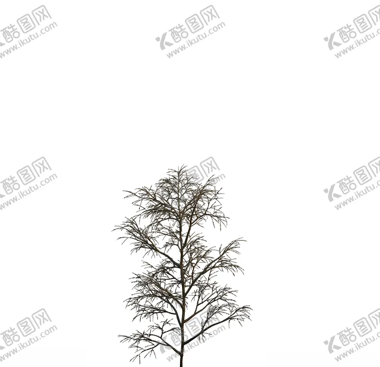编号：62618107010335316676【酷图网】源文件下载-树木