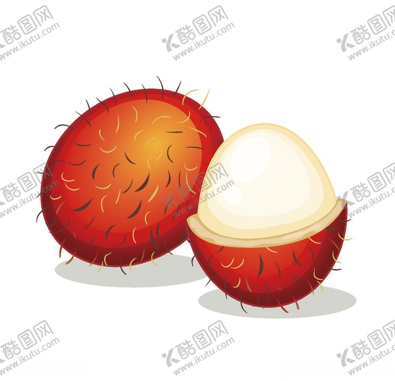 编号：90175705080536165739【酷图网】源文件下载-矢量卡通荔枝