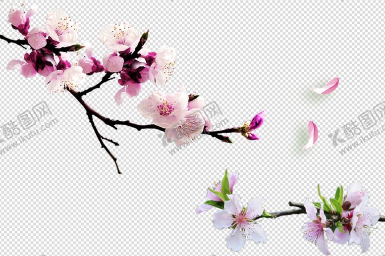 编号：29900809200704203306【酷图网】源文件下载-桃花桃花花枝花开