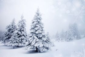  圣诞节雪景