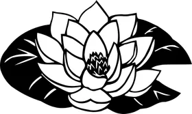 黑白手绘植物森系花卉面料图案花瓣
