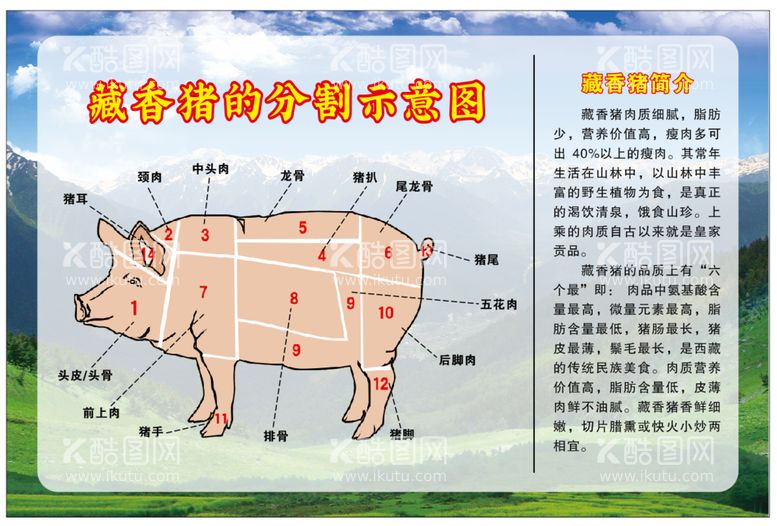 编号：94711011120811389787【酷图网】源文件下载-猪肉分割图