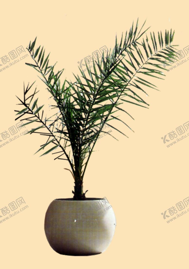 编号：67567509120107555432【酷图网】源文件下载-盆景