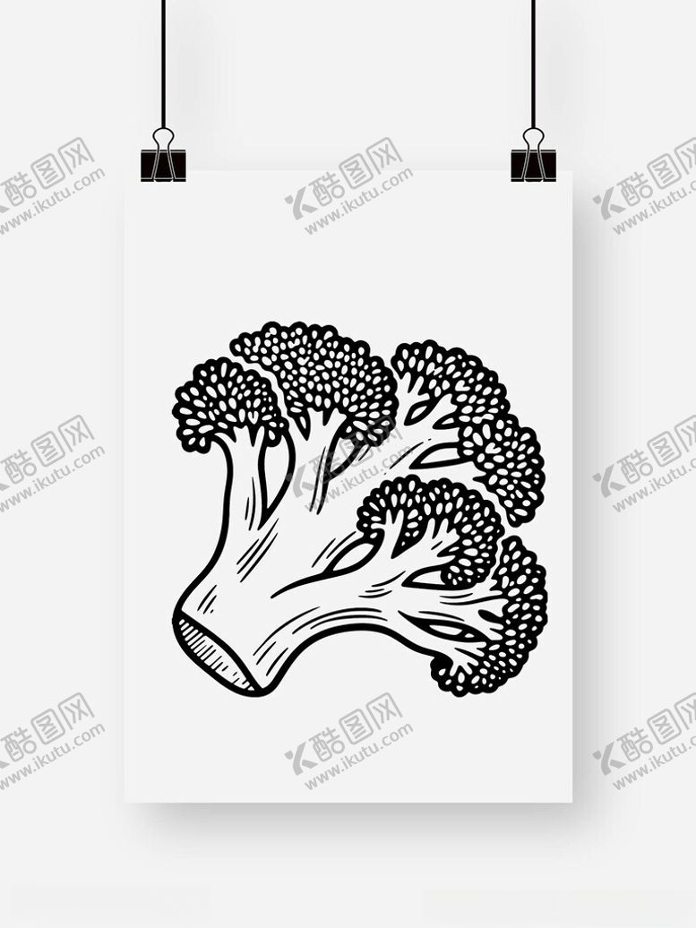 编号：68791009250258144643【酷图网】源文件下载-西兰花