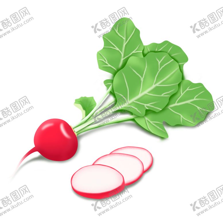 编号：13781302110224113332【酷图网】源文件下载-手绘萝卜红萝卜蔬菜