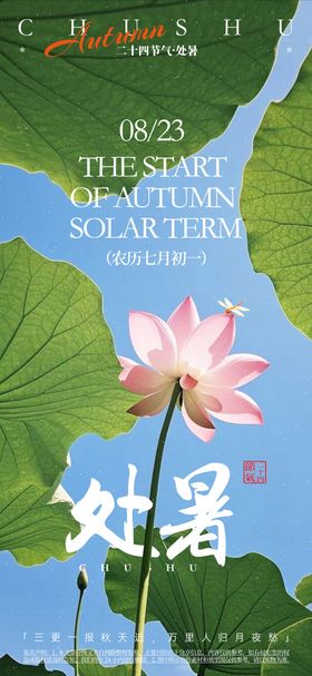 处暑节气展板宣传