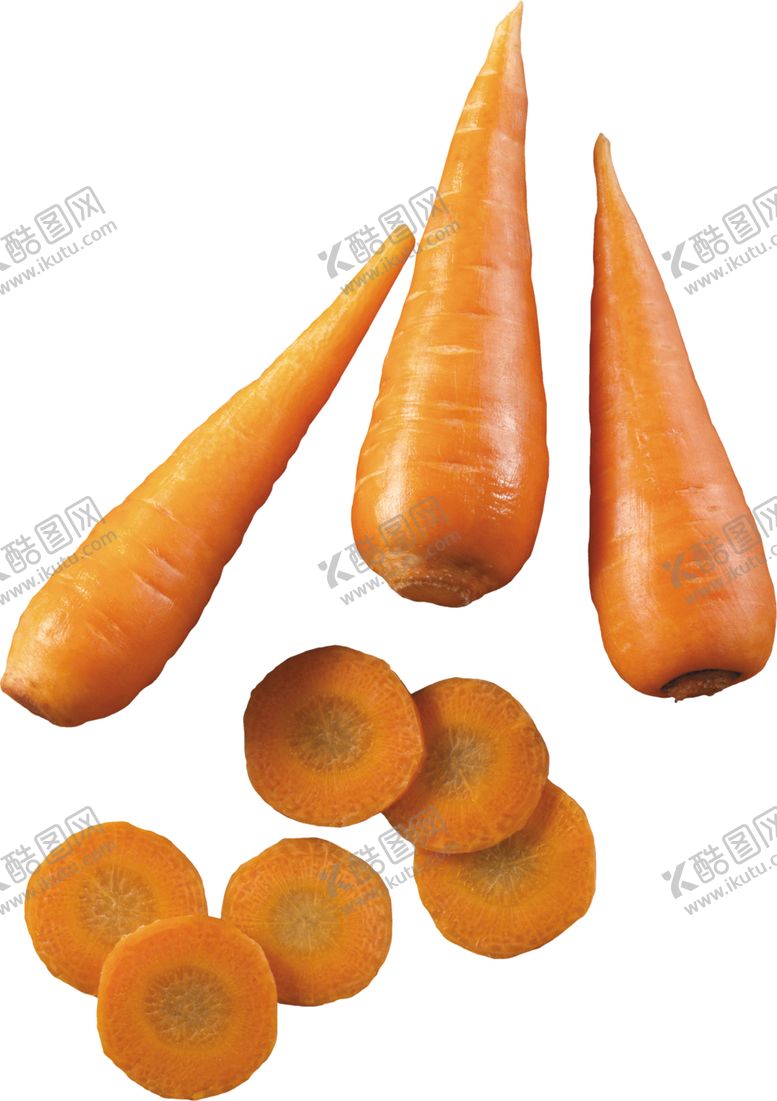 编号：82818306261808596370【酷图网】源文件下载-胡萝卜