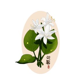 簪花活动海报