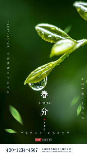 绿色清新文艺留白传统节气惊蛰节