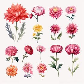 多彩手绘花卉图案集合