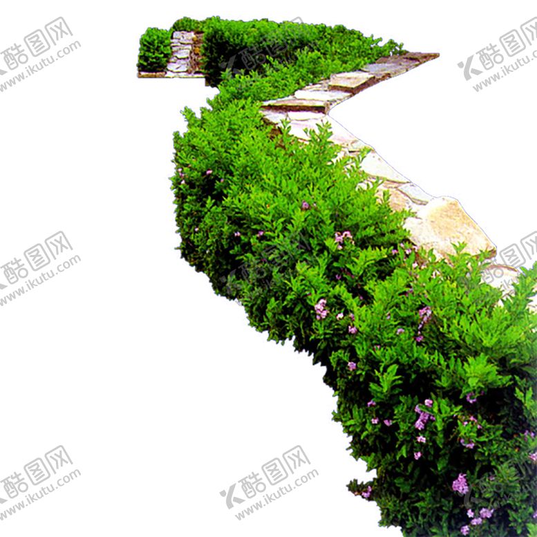 编号：70615106290052538744【酷图网】源文件下载-绿色植物
