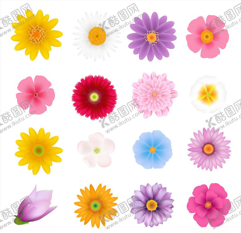 编号：84536409201607029353【酷图网】源文件下载-花卉素材