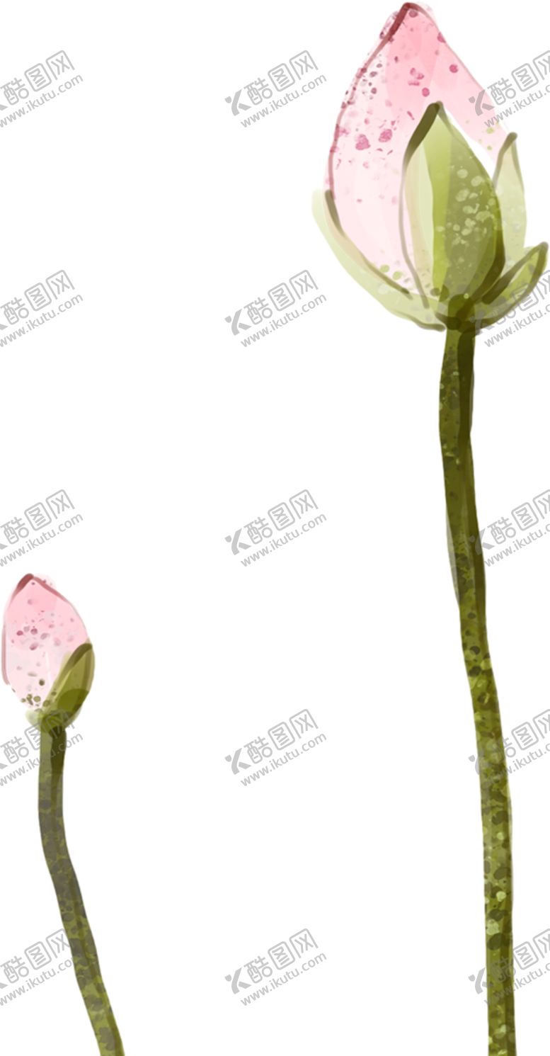 编号：53748410020001456669【酷图网】源文件下载-莲花