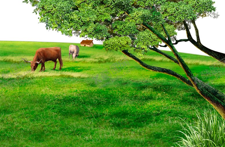 编号：38999710312209423275【酷图网】源文件下载-绿色图片