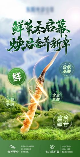 鲜虫草海报