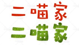 草坪文字效果