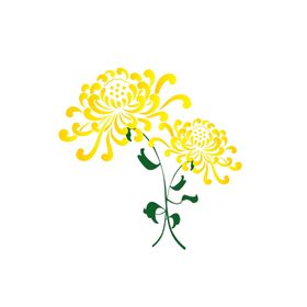 菊花素材