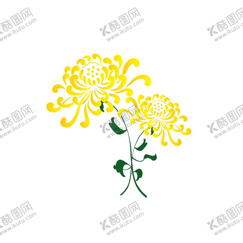 编号：71755106301311588679【酷图网】源文件下载-菊花素材