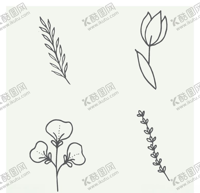 编号：47635206252330355187【酷图网】源文件下载-手绘植物