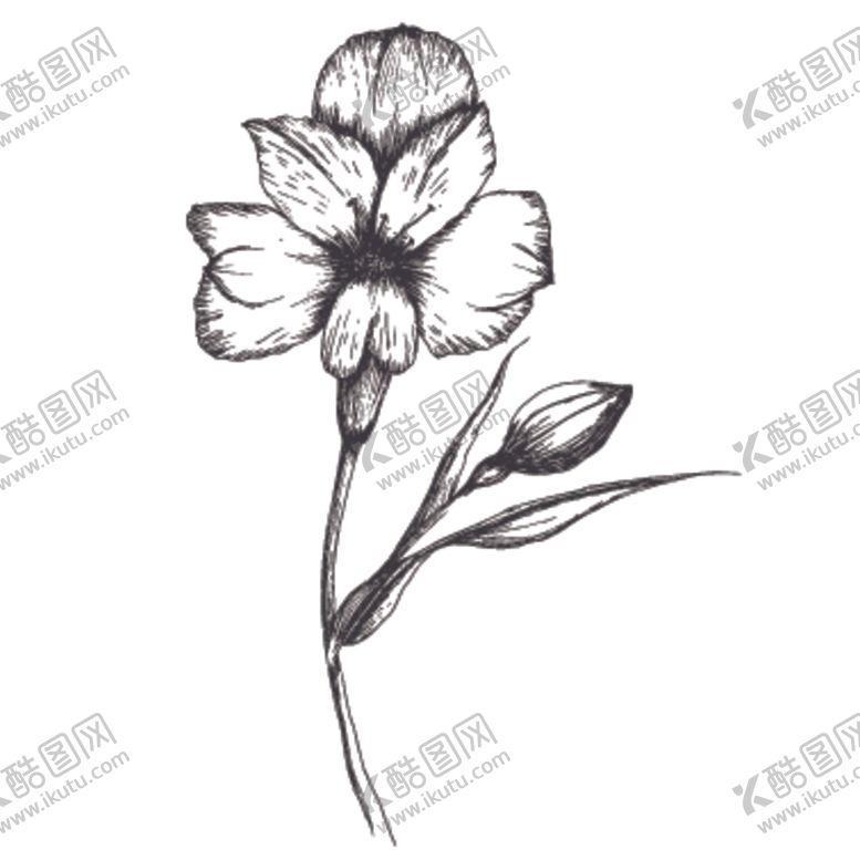 编号：14242610200325567866【酷图网】源文件下载-简笔绘画植物花朵图谱