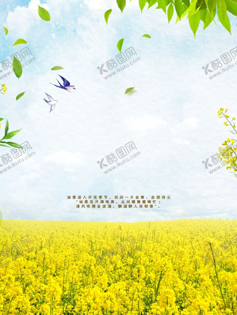 编号：65832310200301547107【酷图网】源文件下载-油菜花节