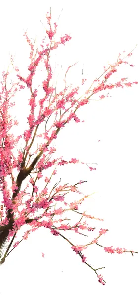 手绘桃花