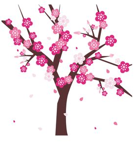 樱花装饰素材背景浪漫白色