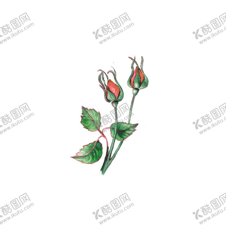 编号：71359110212040596840【酷图网】源文件下载-浪漫素材