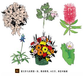 花卉