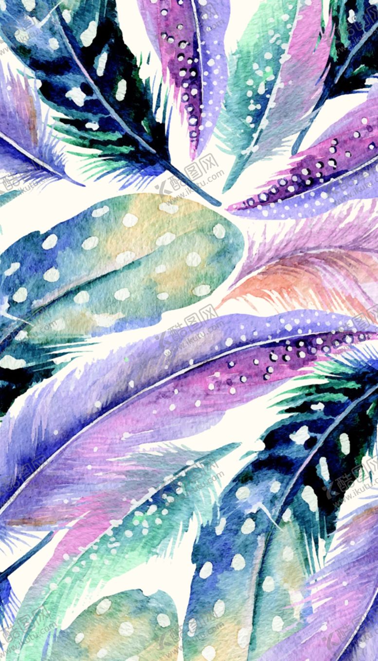 编号：99460810310921169345【酷图网】源文件下载-彩色羽毛卡片