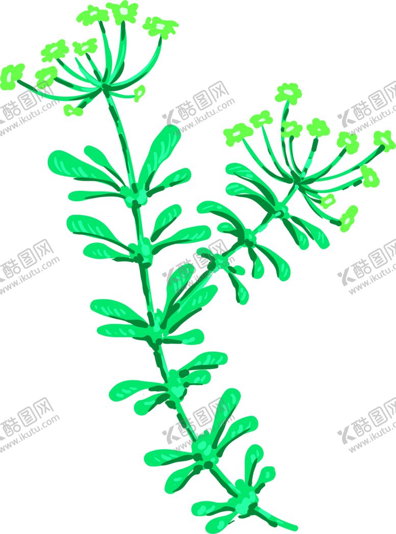 编号：64716706162301447208【酷图网】源文件下载-花素材