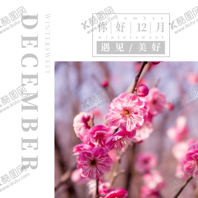 编号：86094805081736595696【酷图网】源文件下载-你好12月