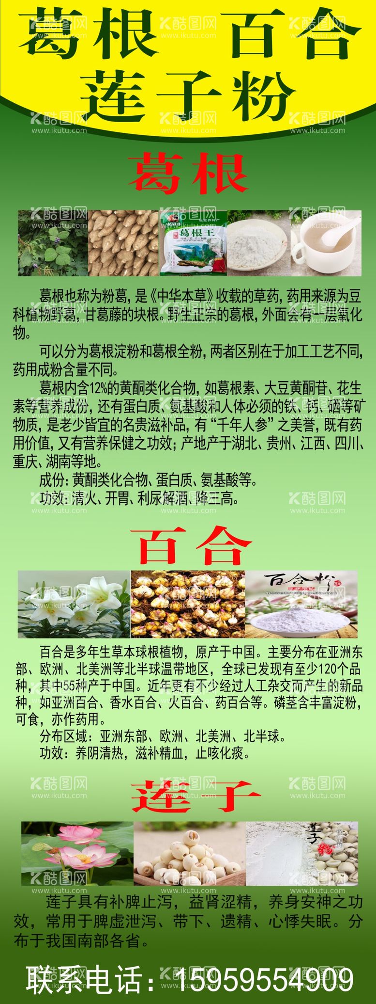 编号：26057411300750575601【酷图网】源文件下载-葛根百合莲子粉广告宣传