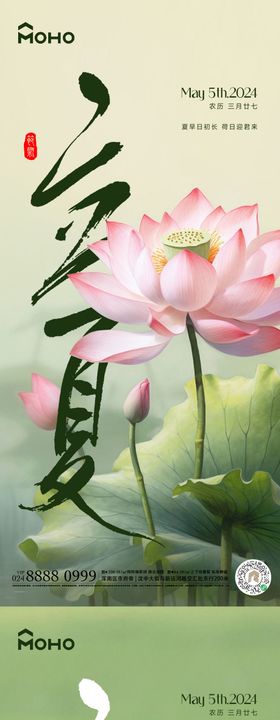 立夏荷花海报天二十四节气