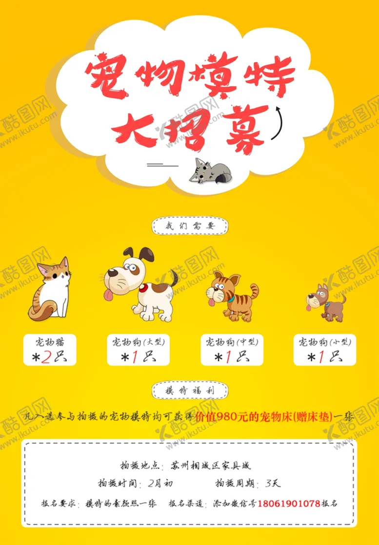编号：29953404061429336392【酷图网】源文件下载-宠物模特招募海报