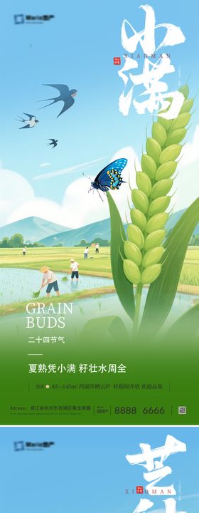 芒种海报小满海报