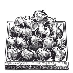 水果绘画线稿图案