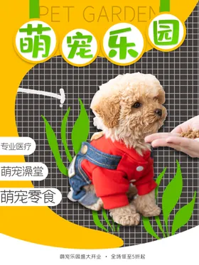 宠物寄养海报平台买卖服务会所