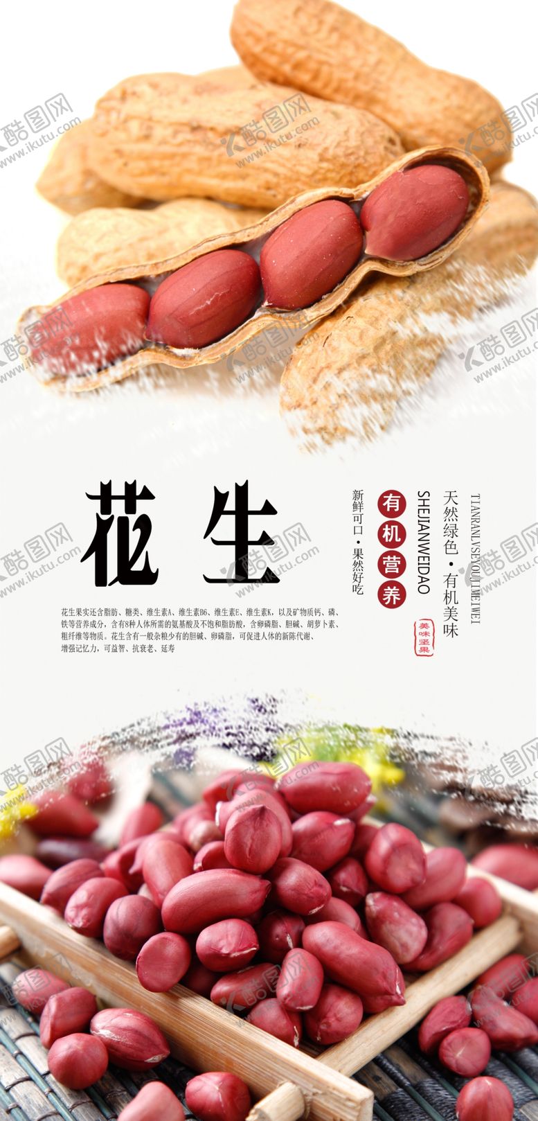 编号：42396510252303203346【酷图网】源文件下载-花生海报