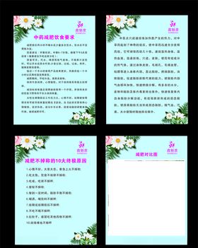 减肥版面