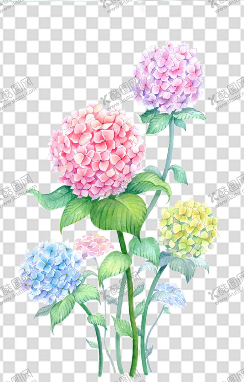 编号：81589601290932214425【酷图网】源文件下载-花 