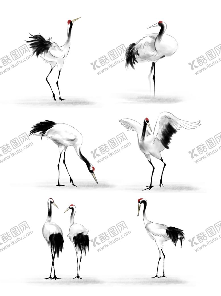 编号：47383809210859575927【酷图网】源文件下载-仙鹤