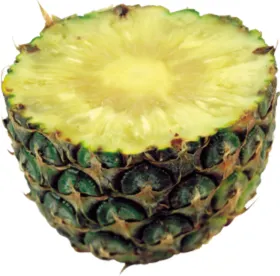 菠萝