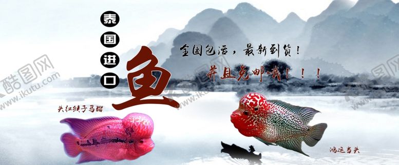 编号：26311002282154099021【酷图网】源文件下载-观赏鱼