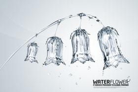 水花